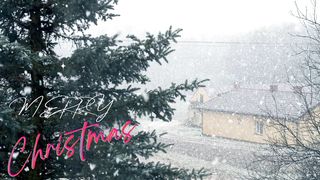 MERRY CHRISTMAS