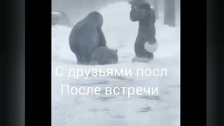 Жизнь 158