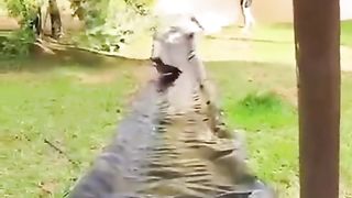 Funny action part 19