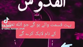Lovely 627