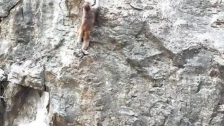 Be careful, you might fall