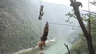Eat Fruit in dangerous places