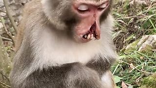 Mouth until it hurts from fighting