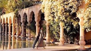 Memories from my last trip to Qatar,?