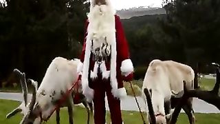 Santa Claus Feeds his Reindeer