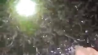 Jangankan 1 Bulan, 1 Minggu saja bibit lele sudah naik ukuran dan beda harganya, bener gak❓