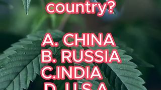 QUIZ yuolss