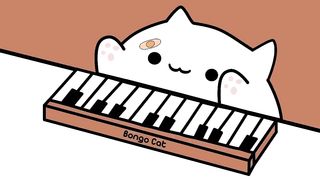 Cat-see you again!!