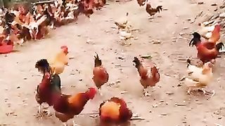 Respect amazing 2