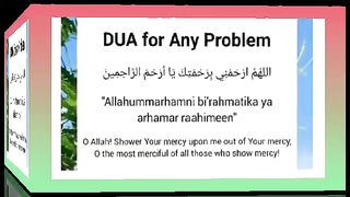 اسلامی معلومات Like share follow 222