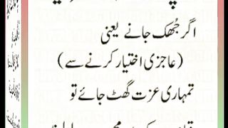 اسلامی معلومات Like share follow 226