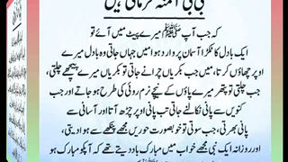 اسلامی معلومات Like share follow 229