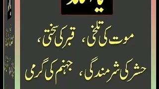 اسلامی معلومات Like share follow 231