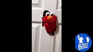 Elmo Smashes Through Door