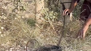 Chori Karty hani