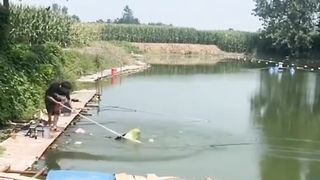 Yang penting udah di tolongin