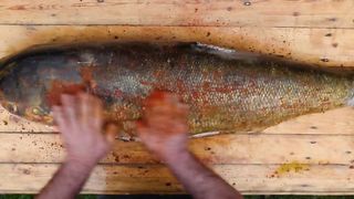 A Huge Fish Baked Whole In A Tandoor! A Giant Recipe With Exquisite Taste