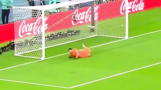 Goalkeeper very useless