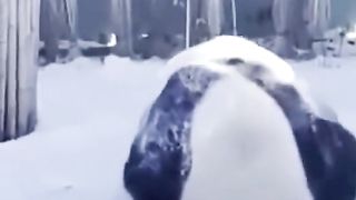Funny action part 22