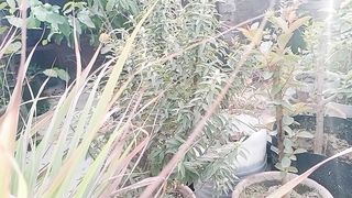 پودوں کے ساتھ ساتھ اپنی صحت کیسے ٹھیک رکھیں