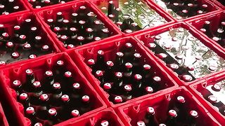 liquor part eleven