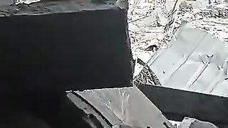New viral video 8