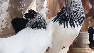 Jab Dil toot ja ay