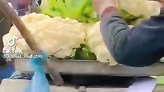 funny video 52 2