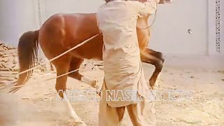 #febspot#foryou #foryoupage#horses#ridings#vedio73#ahmad#nasir#sports#fyb#fybpage