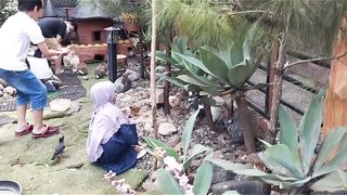 Aviari of Chevilly resort Bogor Indonesia