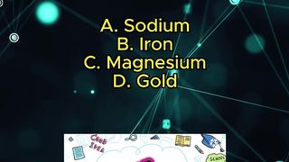 Quiz 3
