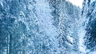 Amazing video 169
