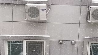 snowfall falls in the south korea