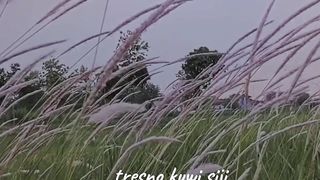 footage nature