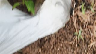 Amateur farm #febspot #monitizedvideofebspot