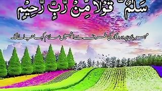 nice palse