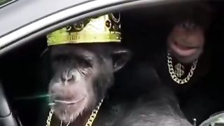 Fun videos 5