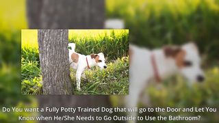 House Train Any Dog System - Best Way to Potty Train a Puppy