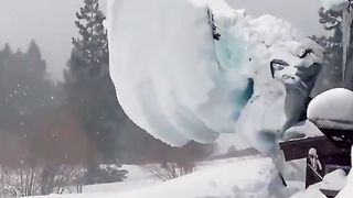Amazing videos vol 95