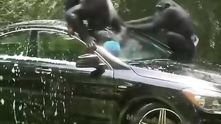 Fun videos 6