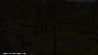 CCTV Horror: Nannycam Captures Baby Being Swallowed by Dog