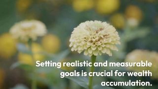Strategies for Rapid Wealth Accumulation