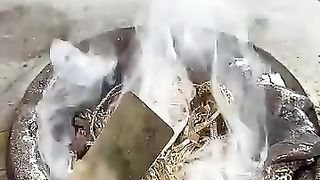 MELTING $500,000 IN WATCHES AND GOLD!!!