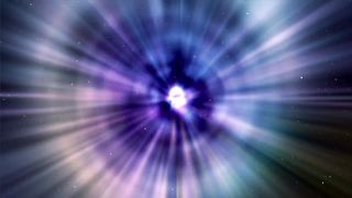 Cute baby monkey ???????? funny videos