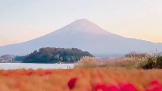 Memories from our trip to Japan last monthTag someone you’d go there with ????