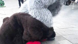 Real funny video