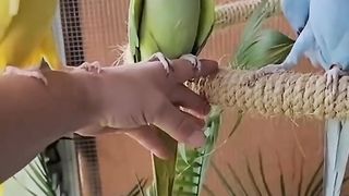 funny animals clip 2023