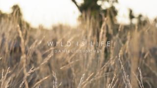 WILD IS LIFE - Most of Beautiful Nature Music by Daniel Deuschle