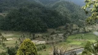 Wahangan