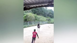 EXTREME Try Not To Laugh | Funniest